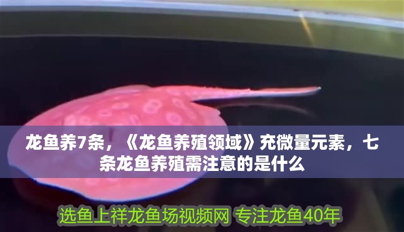 龍魚(yú)養(yǎng)7條，《龍魚(yú)養(yǎng)殖領(lǐng)域》充微量元素，七條龍魚(yú)養(yǎng)殖需注意的是什么