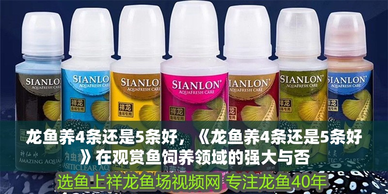 龍魚養4條還是5條好，《龍魚養4條還是5條好》在觀賞魚飼養領域的強大與否 龍魚養4條還是5條好，《龍魚養4條還是5條好》在觀賞魚飼養領域的強大與否 水族問答