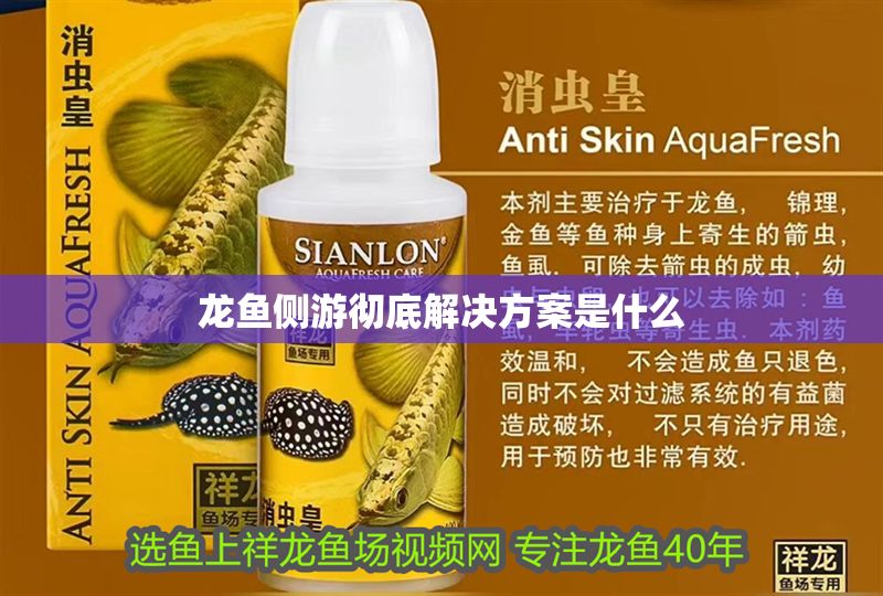 龍魚側游徹底解決方案是什么 龍魚側游徹底解決方案是什么 龍魚百科 第2張