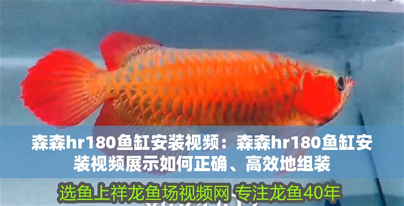 森森h(huán)r180魚缸安裝視頻：森森h(huán)r180魚缸安裝視頻展示如何正確、高效地組裝