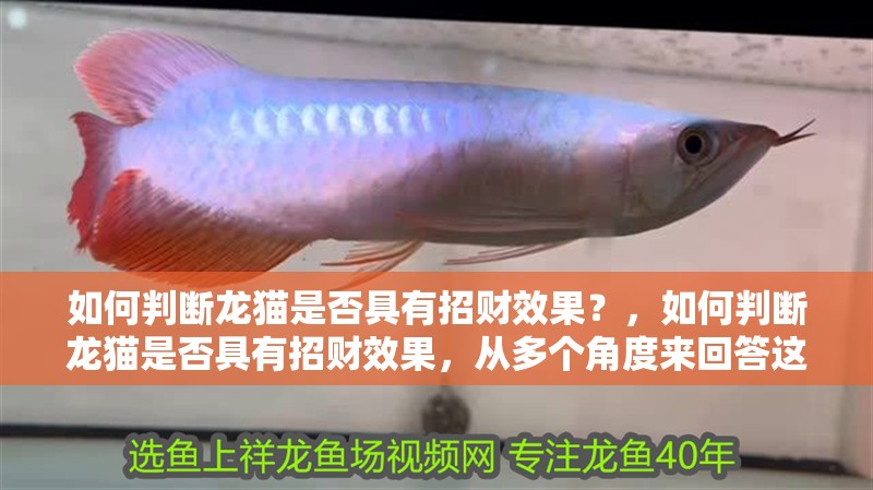 如何判斷龍貓是否具有招財(cái)效果？，如何判斷龍貓是否具有招財(cái)效果，從多個(gè)角度來(lái)回答這個(gè)問(wèn)題