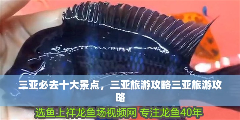 三亞必去十大景點，三亞旅游攻略三亞旅游攻略 三亞必去十大景點，三亞旅游攻略三亞旅游攻略 龍魚論壇