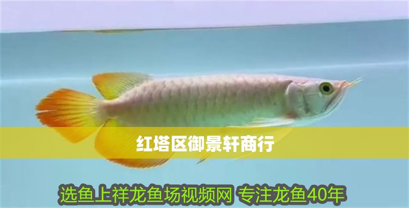 紅塔區御景軒商行