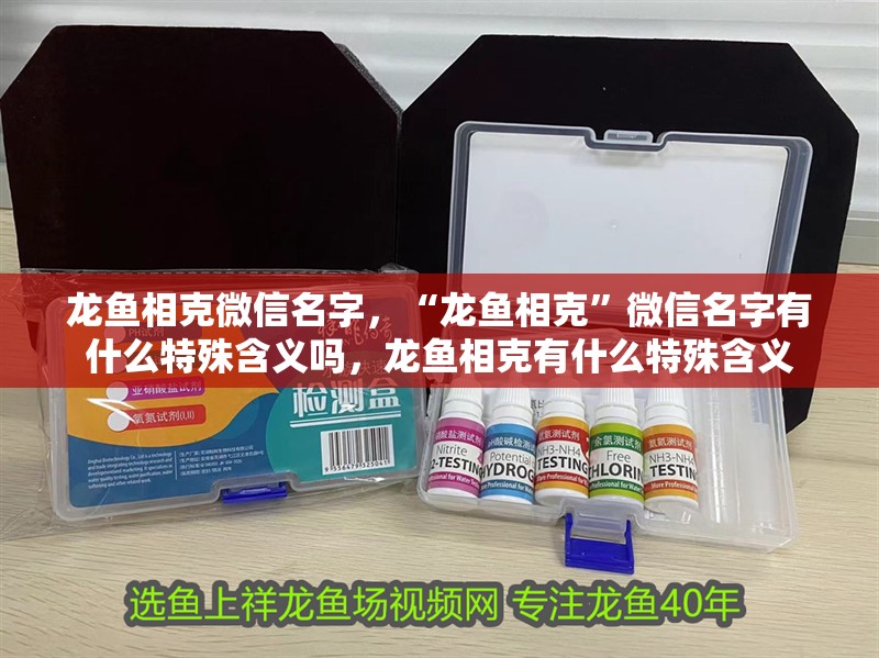 龍魚相克微信名字，“龍魚相克”微信名字有什么特殊含義嗎，龍魚相克有什么特殊含義