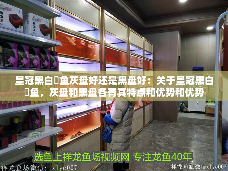 皇冠黑白魟魚灰盤好還是黑盤好:關于皇冠黑白魟魚,灰盤和黑盤各有其特點和優勢和優勢 魟魚百科 第2張 皇冠黑白魟魚灰盤好還是黑盤好:關于皇冠黑白魟魚,灰盤和黑盤各有其特點和優勢和優勢 皇冠黑白魟魚灰盤好還是黑盤好:關于皇冠黑白魟魚,灰盤和黑盤各有其特點和優勢和優勢 魟魚百科 第2張