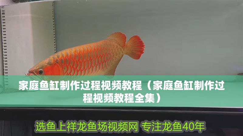 家庭魚缸制作過程視頻教程（家庭魚缸制作過程視頻教程全集）