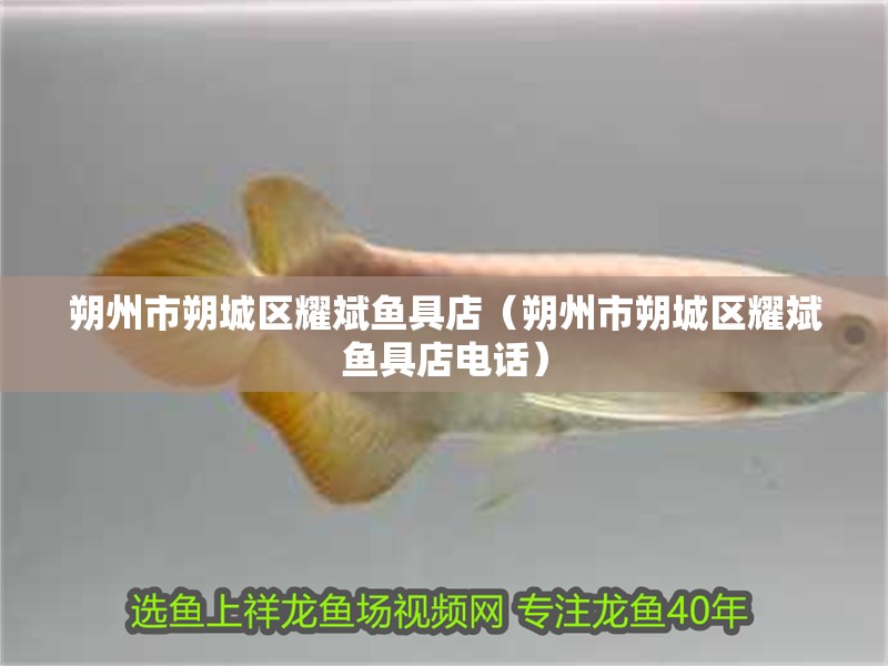 朔州市朔城區耀斌魚具店（朔州市朔城區耀斌魚具店電話）
