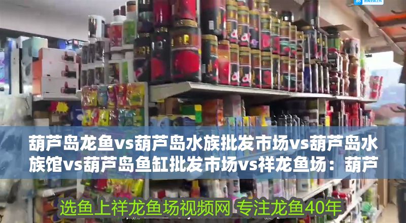 葫蘆島龍魚vs葫蘆島水族批發市場vs葫蘆島水族館vs葫蘆島魚缸批發市場vs祥龍魚場：葫蘆島水族批發市場