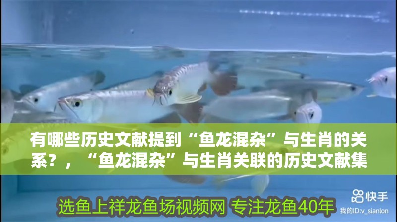 有哪些歷史文獻(xiàn)提到“魚(yú)龍混雜”與生肖的關(guān)系？，“魚(yú)龍混雜”與生肖關(guān)聯(lián)的歷史文獻(xiàn)集中于以下兩類文獻(xiàn)