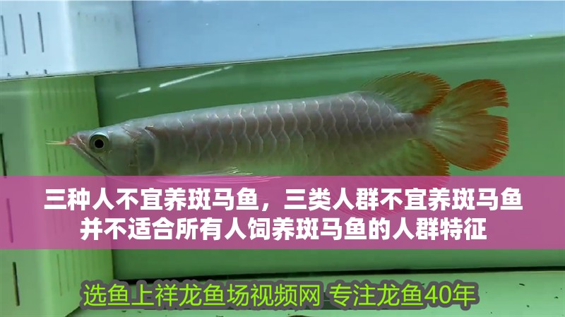 三種人不宜養(yǎng)斑馬魚，三類人群不宜養(yǎng)斑馬魚并不適合所有人飼養(yǎng)斑馬魚的人群特征