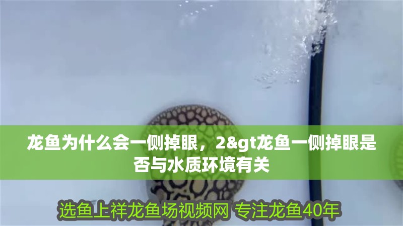 魚缸用增氧泵價格是多少:魚缸增氧機-xtrac增氧機-xtrac增氧機 龍魚為什么會一側掉眼,2>龍魚一側掉眼是否與水質環境有關 水族問答 龍魚為什么會一側掉眼,2>龍魚一側掉眼是否與水質環境有關 龍魚為什么會一側掉眼,2>龍魚一側掉眼是否與水質環境有關 水族問答