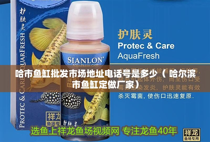 哈市魚缸批發市場地址電話號是多少（ 哈爾濱市魚缸定做廠家）