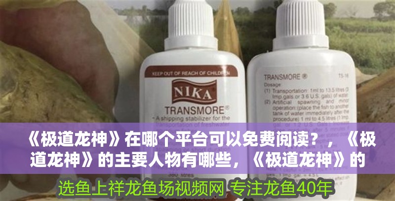 《極道龍神》在哪個平臺可以免費閱讀？，《極道龍神》的主要人物有哪些，《極道龍神》的作者是誰