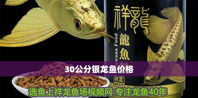 30公分銀龍魚價格