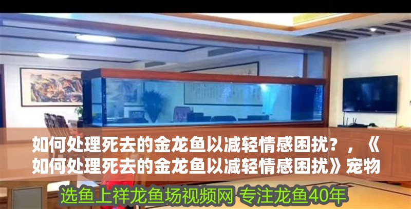 如何處理死去的金龍魚以減輕情感困擾？，《如何處理死去的金龍魚以減輕情感困擾》寵物殯葬服務