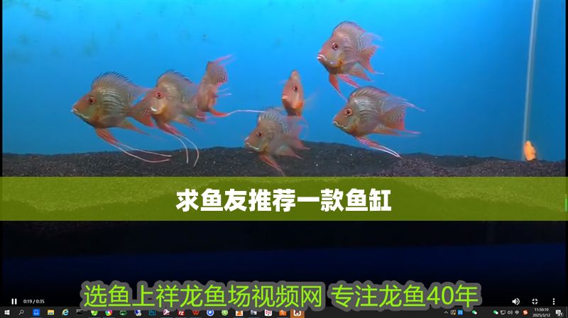 求魚友推薦一款魚缸