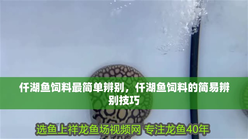 仟湖魚飼料最簡單辨別，仟湖魚飼料的簡易辨別技巧