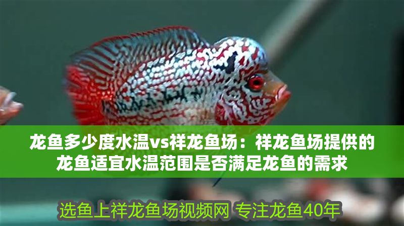 龍魚多少度水溫vs祥龍魚場：祥龍魚場提供的龍魚適宜水溫范圍是否滿足龍魚的需求