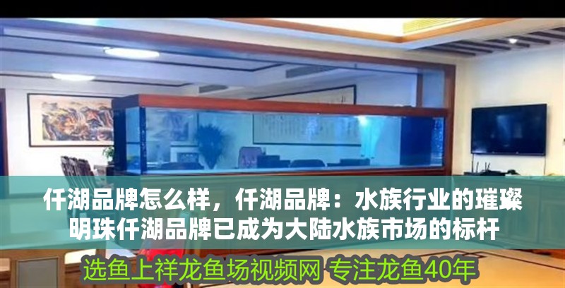 仟湖品牌怎么樣，仟湖品牌：水族行業的璀璨明珠仟湖品牌已成為大陸水族市場的標桿