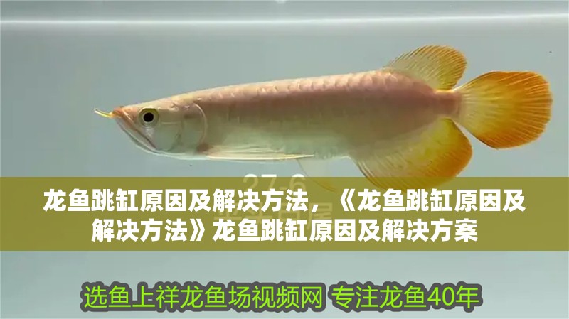 龍魚跳缸原因及解決方法，《龍魚跳缸原因及解決方法》龍魚跳缸原因及解決方案
