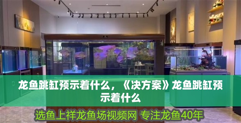 龍魚跳缸預示著什么，《決方案》龍魚跳缸預示著什么