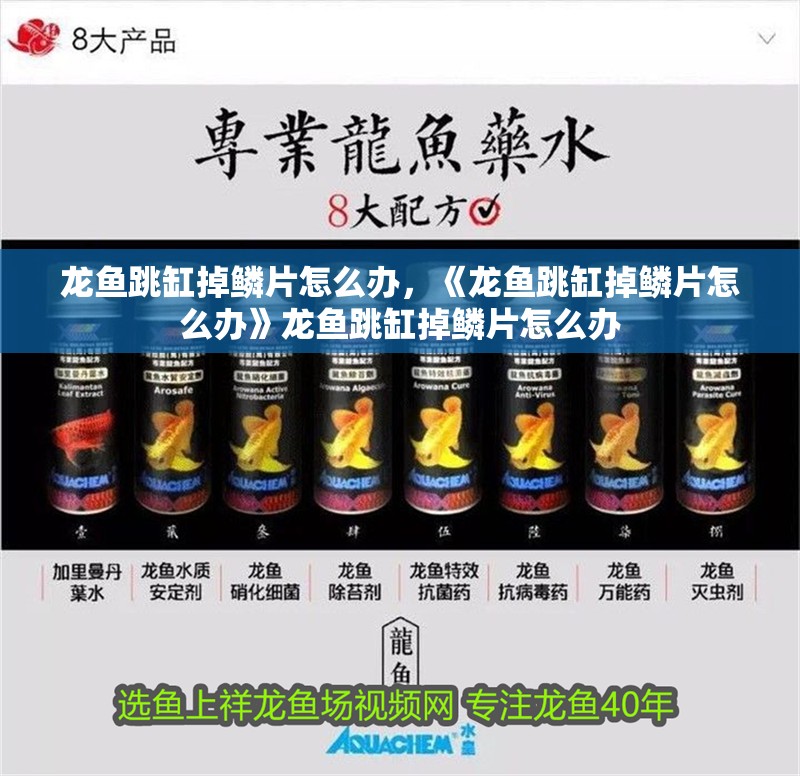 龍魚跳缸掉鱗片怎么辦，《龍魚跳缸掉鱗片怎么辦》龍魚跳缸掉鱗片怎么辦