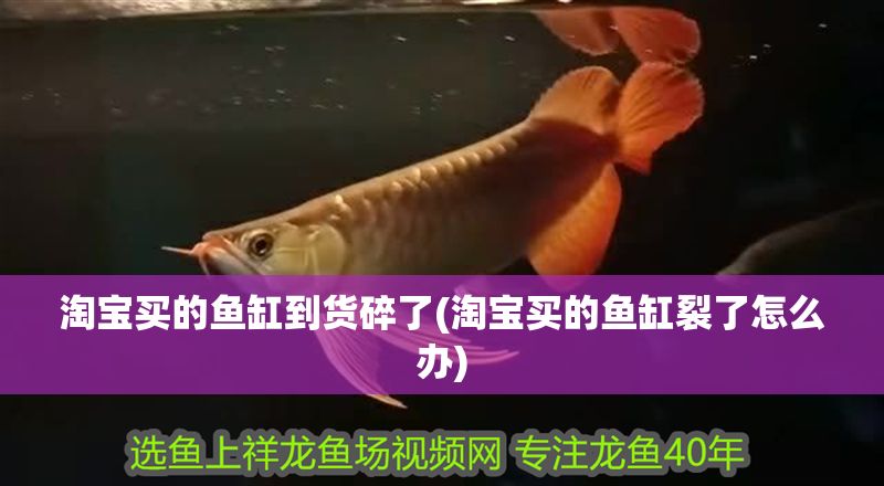 淘寶買的魚缸到貨碎了(淘寶買的魚缸裂了怎么辦)