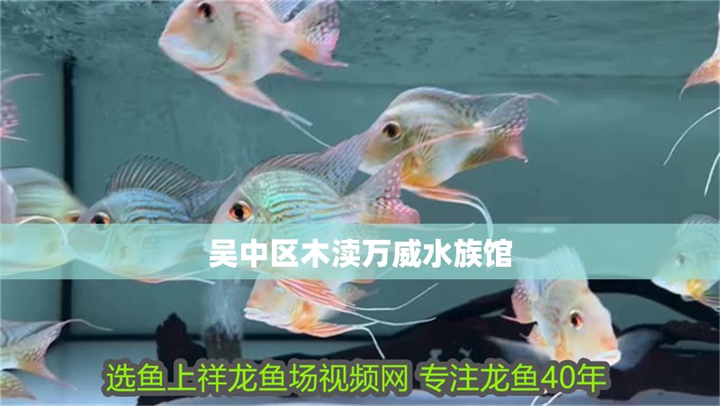 吳中區木瀆萬威水族館