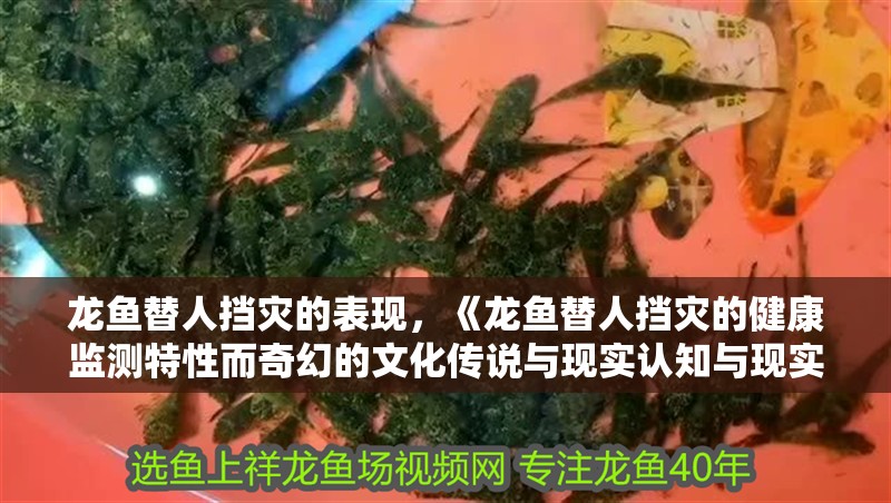 龍魚替人擋災(zāi)的表現(xiàn)，《龍魚替人擋災(zāi)的健康監(jiān)測(cè)特性而奇幻的文化傳說與現(xiàn)實(shí)認(rèn)知與現(xiàn)實(shí)