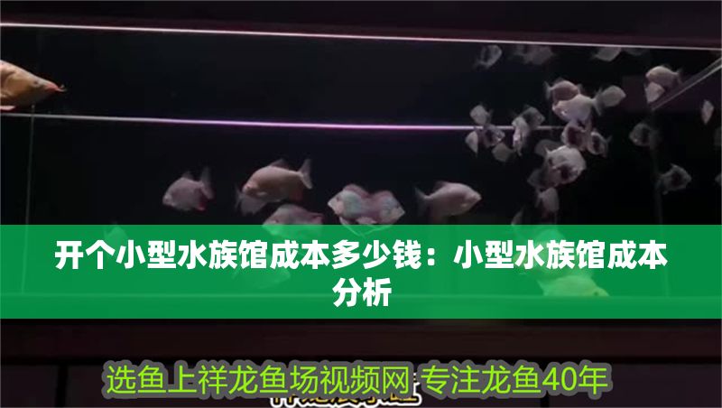 開個小型水族館成本多少錢：小型水族館成本分析