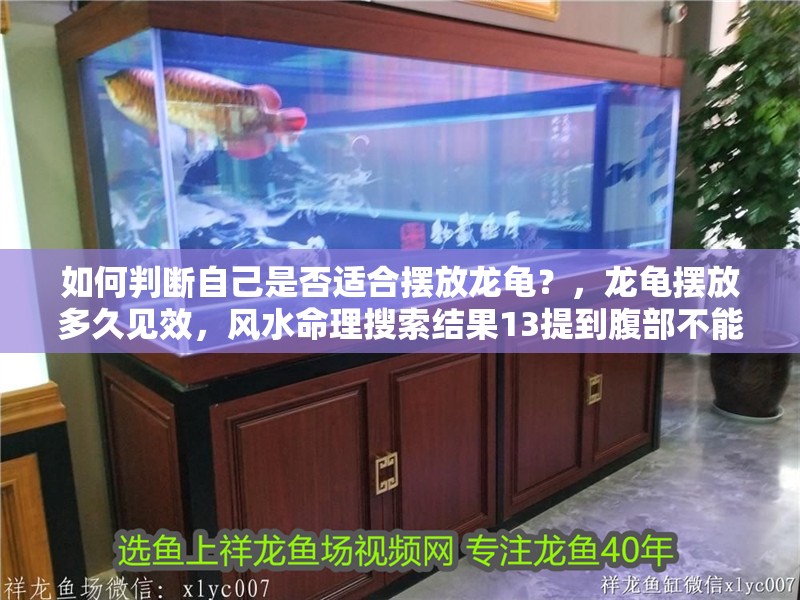 如何判斷自己是否適合擺放龍龜？，龍龜擺放多久見效，風(fēng)水命理搜索結(jié)果13提到腹部不能擺放