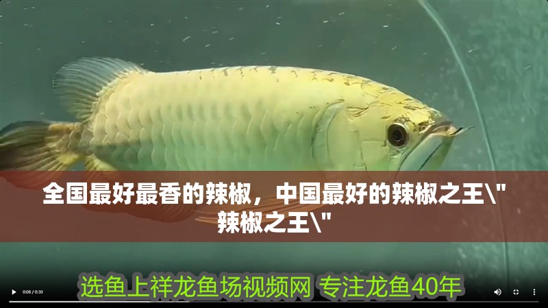 全國最好最香的辣椒，中國最好的辣椒之王\