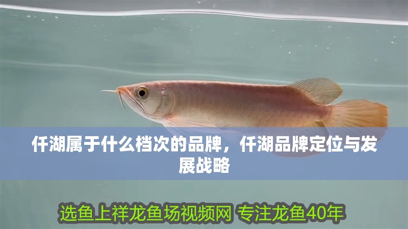 仟湖屬于什么檔次的品牌，仟湖品牌定位與發展戰略