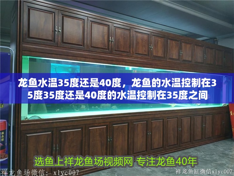 龍魚水溫35度還是40度，龍魚的水溫控制在35度35度還是40度的水溫控制在35度之間 龍魚水溫35度還是40度，龍魚的水溫控制在35度35度還是40度的水溫控制在35度之間 水族問答