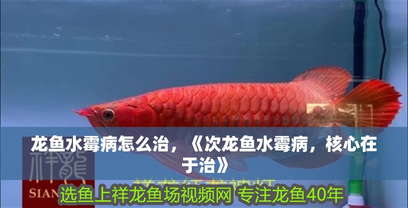 龍魚水霉病怎么治，《次龍魚水霉病，核心在于治》