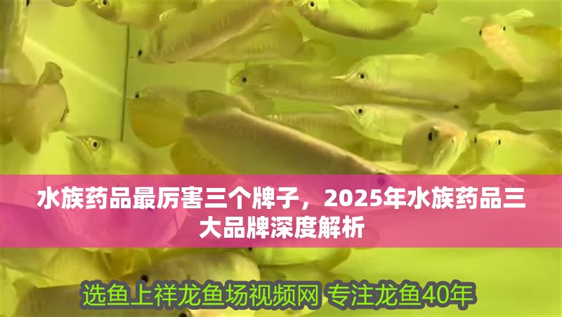 水族藥品最厲害三個牌子，2025年水族藥品三大品牌深度解析