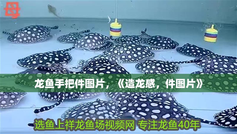 龍魚手把件圖片，《造龍感，件圖片》