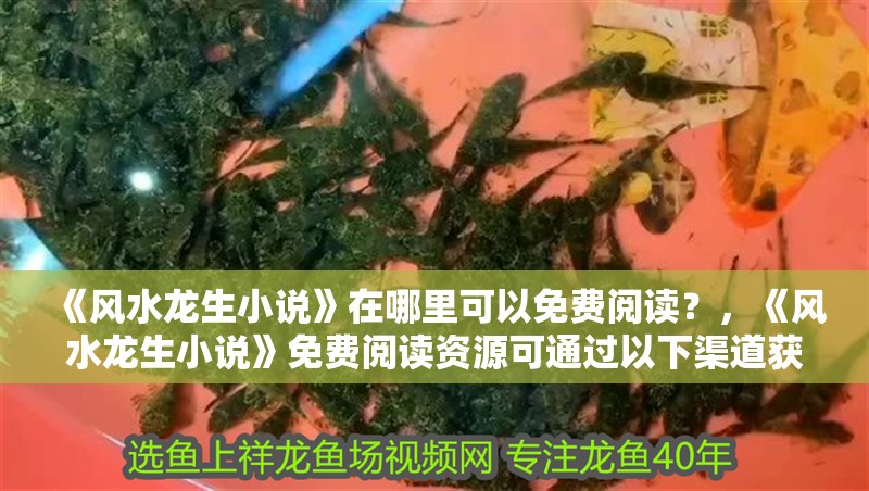 《風水龍生小說》在哪里可以免費閱讀？，《風水龍生小說》免費閱讀資源可通過以下渠道獲取