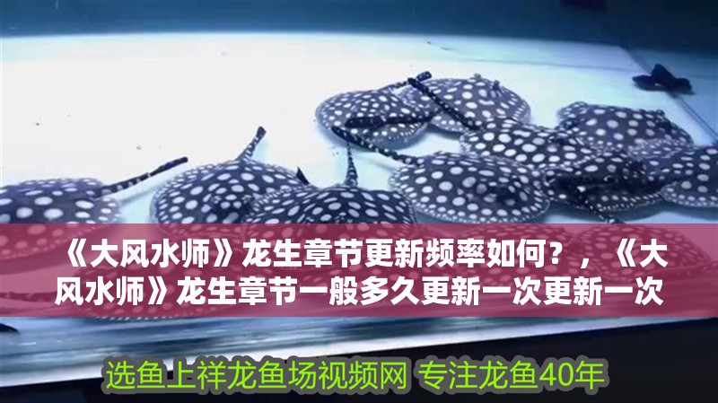 《大風(fēng)水師》龍生章節(jié)更新頻率如何？，《大風(fēng)水師》龍生章節(jié)一般多久更新一次更新一次