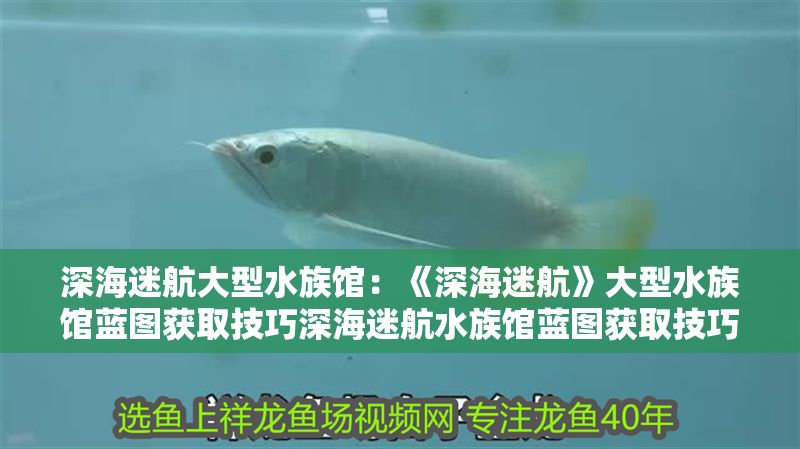 深海迷航大型水族館：《深海迷航》大型水族館藍圖獲取技巧深海迷航水族館藍圖獲取技巧