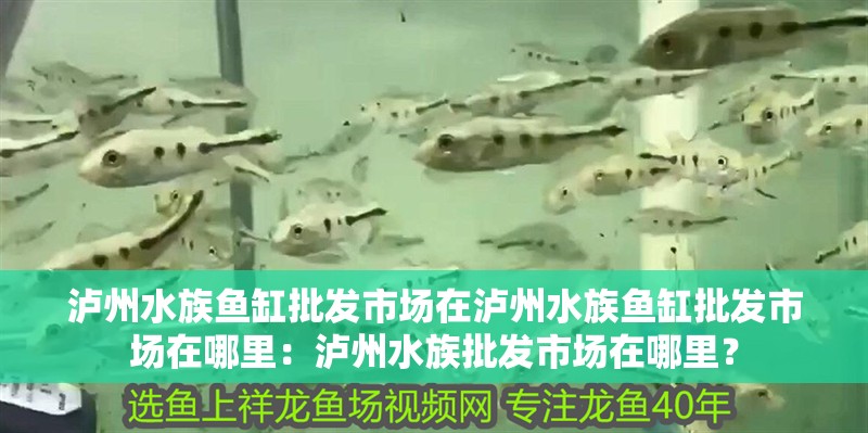 瀘州水族魚缸批發市場在瀘州水族魚缸批發市場在哪里：瀘州水族批發市場在哪里？
