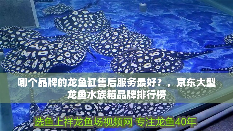 哪個品牌的龍魚缸售后服務最好？，京東大型龍魚水族箱品牌排行榜 哪個品牌的龍魚缸售后服務最好？，京東大型龍魚水族箱品牌排行榜 龍魚論壇