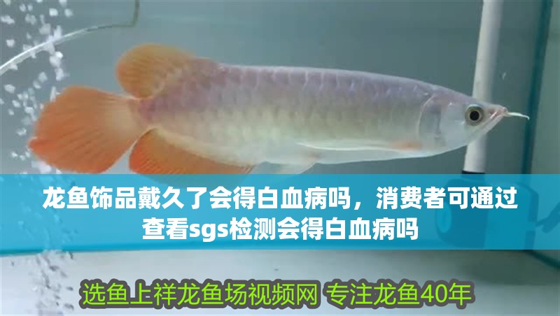 龍魚飾品戴久了會得白血病嗎，消費(fèi)者可通過查看sgs檢測會得白血病嗎
