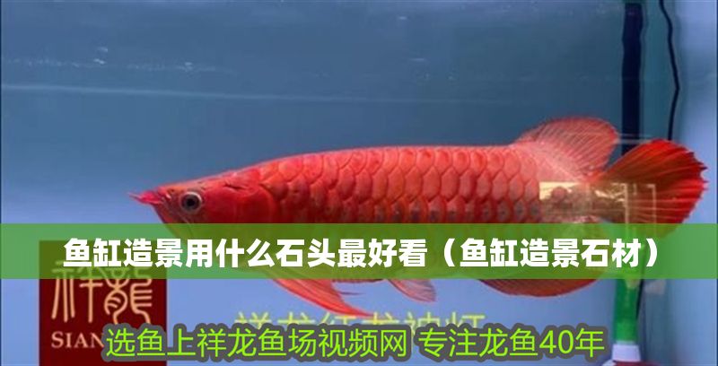 魚缸造景用什么石頭最好看（魚缸造景石材）