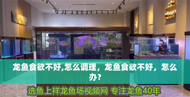 龍魚食欲不好,怎么調理，龍魚食欲不好，怎么辦？