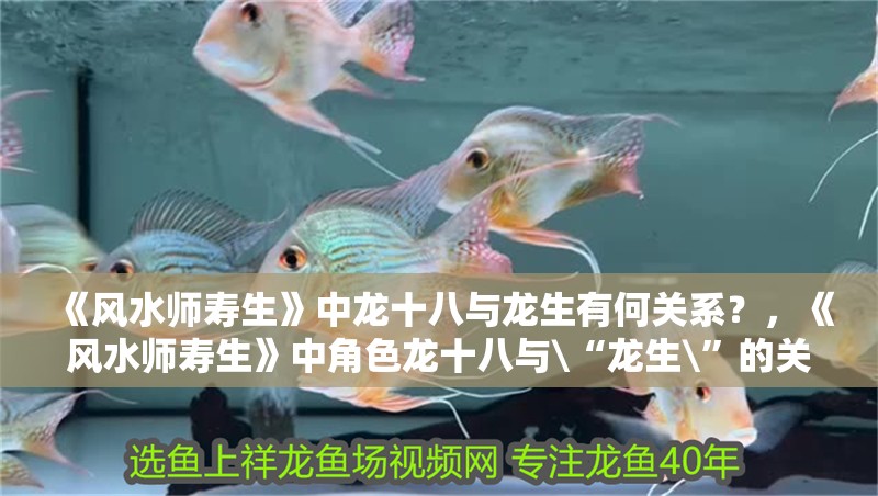《風水師壽生》中龍十八與龍生有何關系？，《風水師壽生》中角色龍十八與\“龍生\”的關系