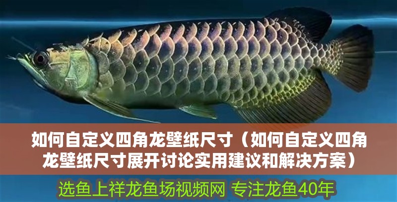 如何自定義四角龍壁紙尺寸（如何自定義四角龍壁紙尺寸展開討論實用建議和解決方案）