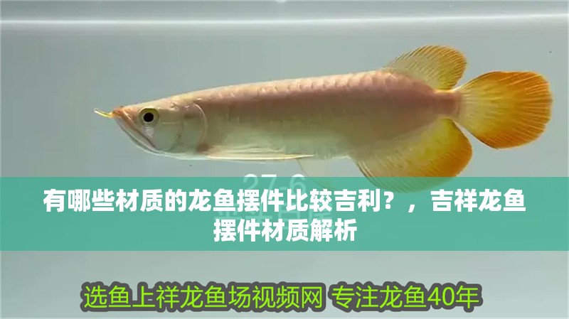 有哪些材質的龍魚擺件比較吉利？，吉祥龍魚擺件材質解析