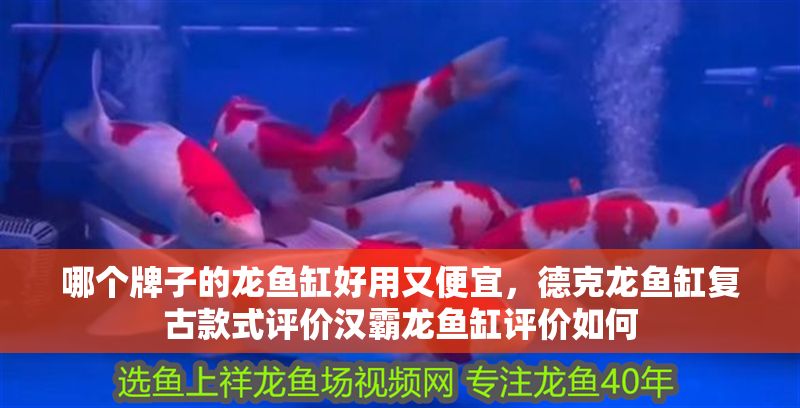 哪個牌子的龍魚缸好用又便宜，德克龍魚缸復古款式評價漢霸龍魚缸評價如何