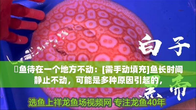 魟魚待在一個地方不動：[需手動填充]魚長時間靜止不動，可能是多種原因引起的，